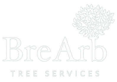 Brearb Tree Services Logo