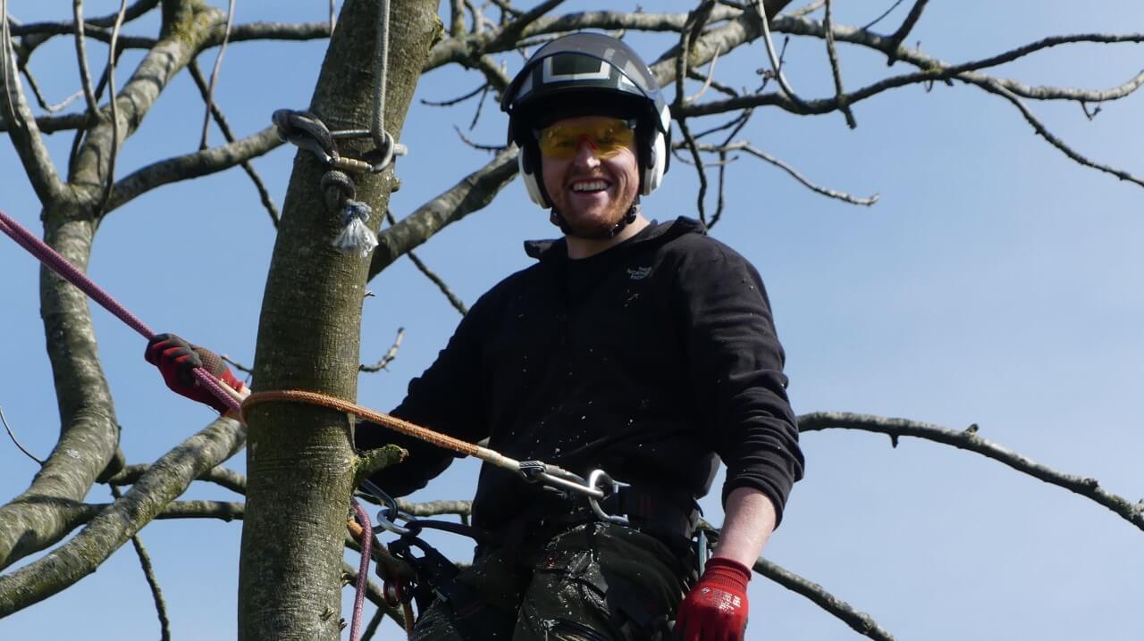 Tree surgeon smiling whilst working up a tree